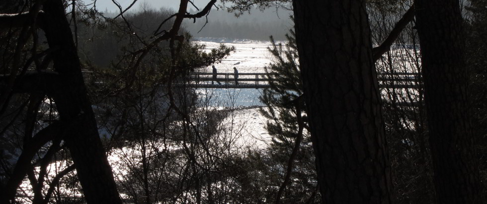 Rundweg zur Hängebrücke