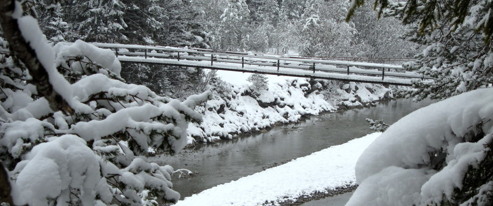 Rundweg zur Hängebrücke