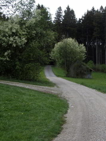 Wildstandrunde Hopferwald