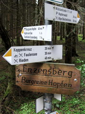 Wildstandrunde Hopferwald