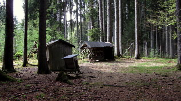 Wildstandrunde Hopferwald