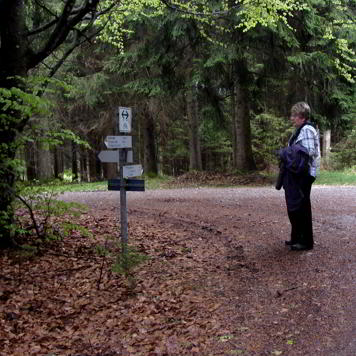 Wildstandrunde Hopferwald