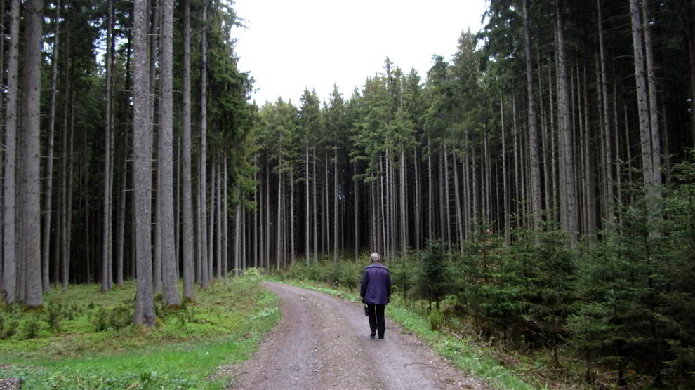 Wildstandrunde Hopferwald