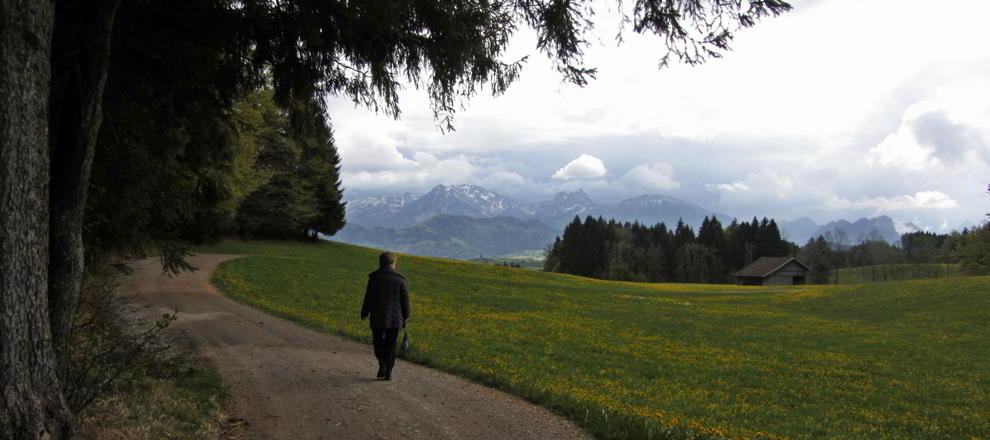 Wildstandrunde Hopferwald