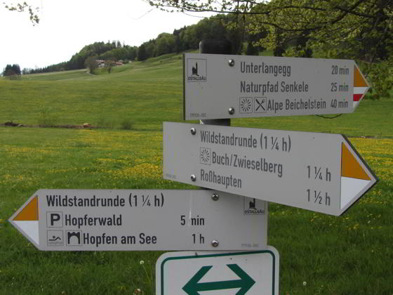 Wildstandrunde Hopferwald