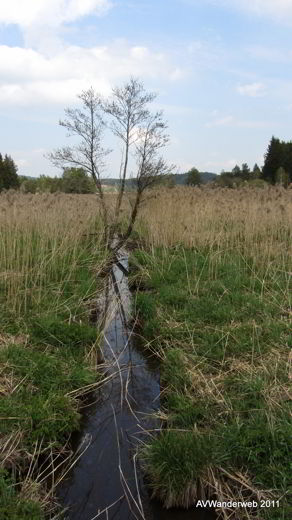 Elbsee bei Aitrang