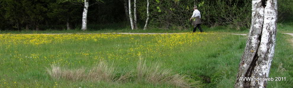 Elbsee bei Aitrang