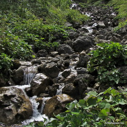 Vilsalpsee Bergaicht Wasserfall