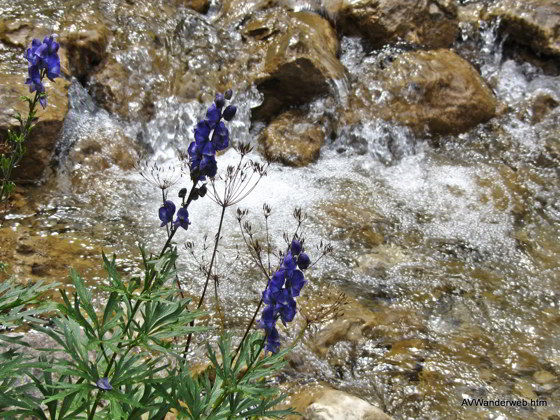 Vilsalpsee Bergaicht Wasserfall