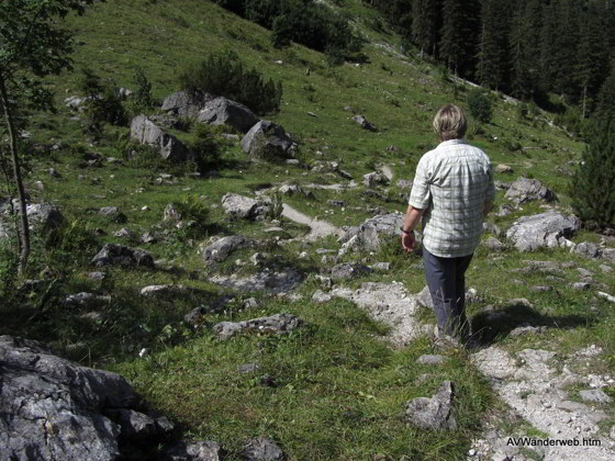 Vilsalpsee Bergaicht Wasserfall