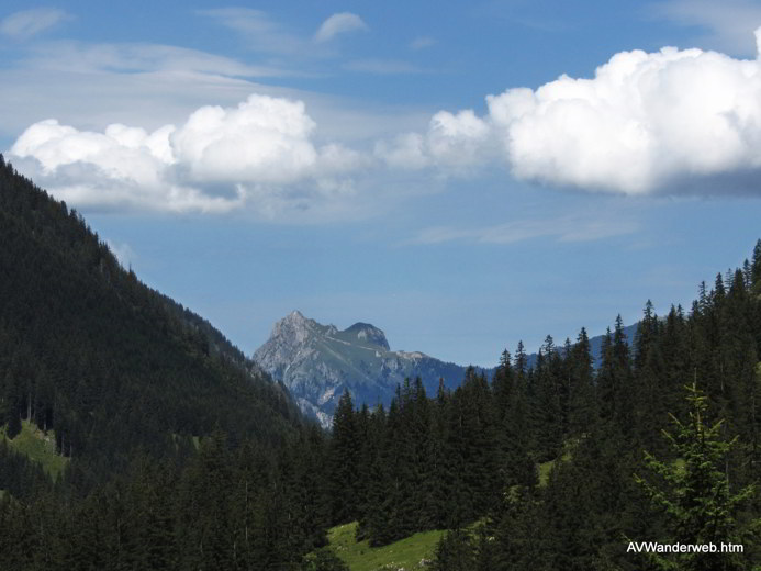 Vilsalpsee Bergaicht Wasserfall