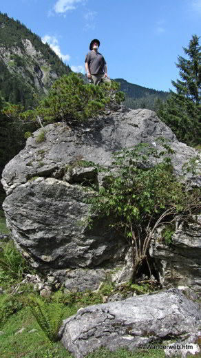 Vilsalpsee Bergaicht Wasserfall