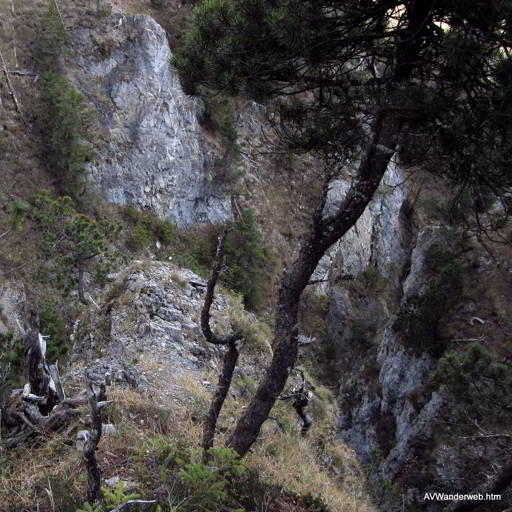 Baichlstein Rundwanderung