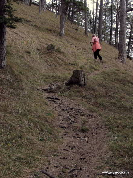 Baichlstein Rundwanderung