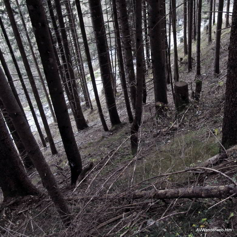 Baichlstein Rundwanderung