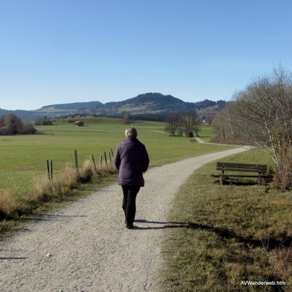 Niedersonthofener See