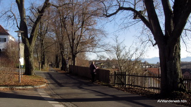 Praelatenweg Kurfuerstenallee