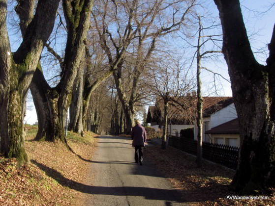 Praelatenweg Kurfuerstenallee