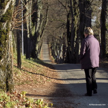 Praelatenweg Kurfuerstenallee