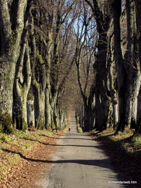 Praelatenweg Kurfuerstenallee