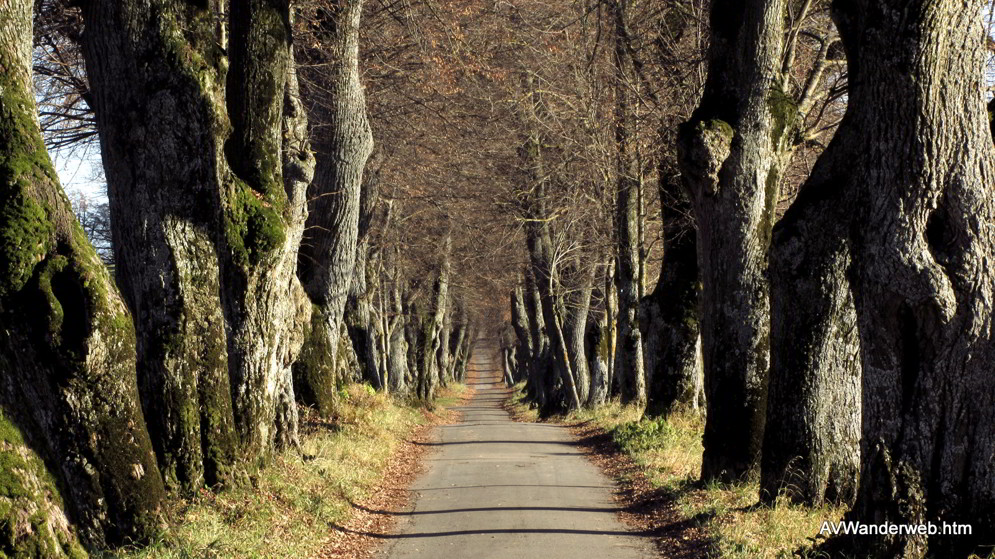 Praelatenweg Kurfuerstenallee