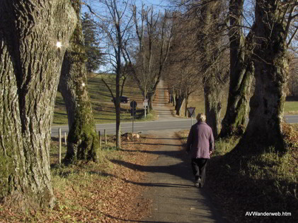 Praelatenweg Kurfuerstenallee