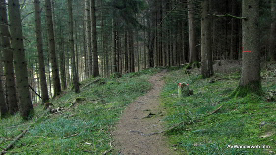 Praelatenweg Kurfuerstenallee