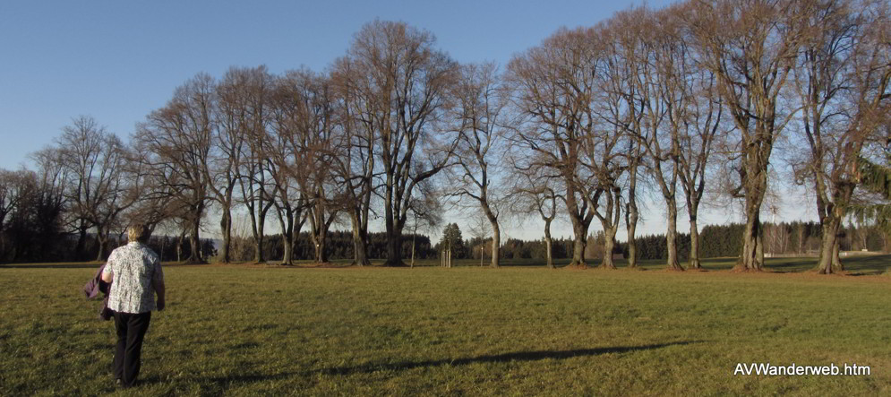 Praelatenweg Kurfuerstenallee