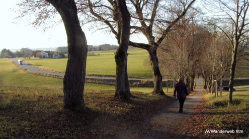 Praelatenweg Kurfuerstenallee