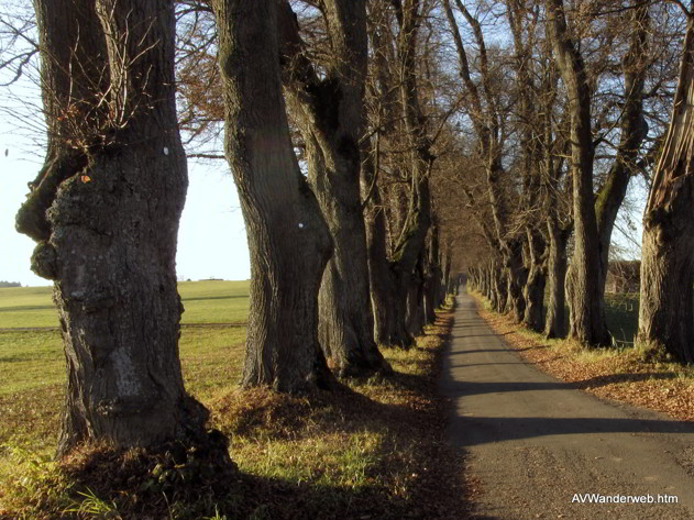 Praelatenweg Kurfuerstenallee