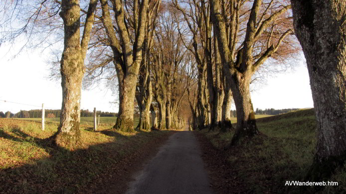 Praelatenweg Kurfuerstenallee