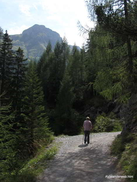 Sulzlalm Tunnelweg Holzgau