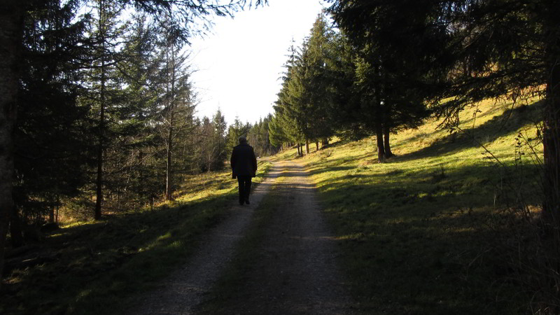 Adventsmarkt und Bruchsee