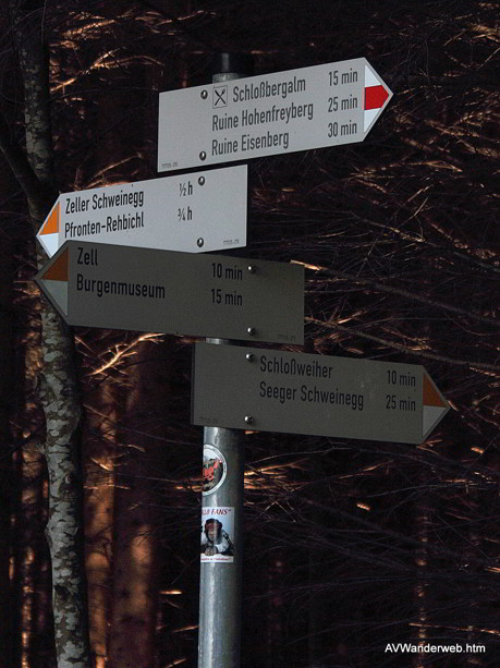 Burgruinen Frey und Eisenberg