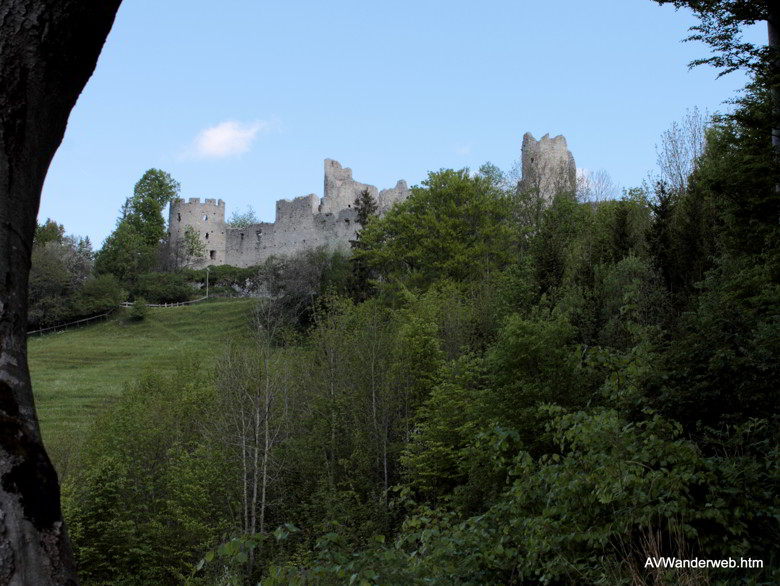 Burgruinen Frey und Eisenberg