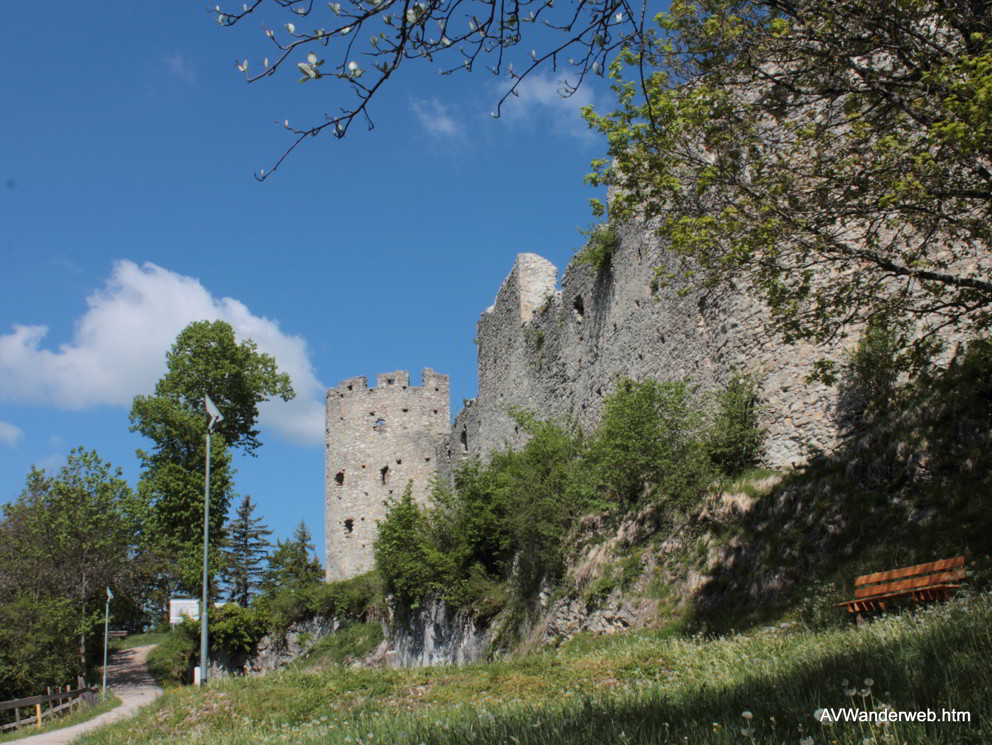 Burgruinen Frey und Eisenberg