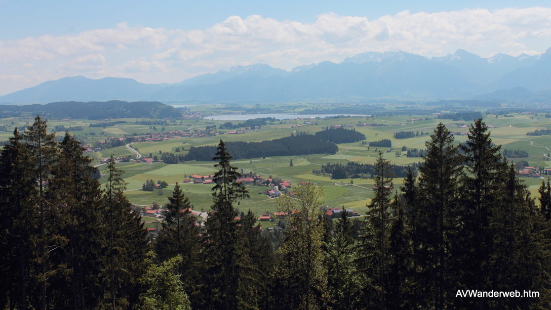 Burgruinen Frey und Eisenberg