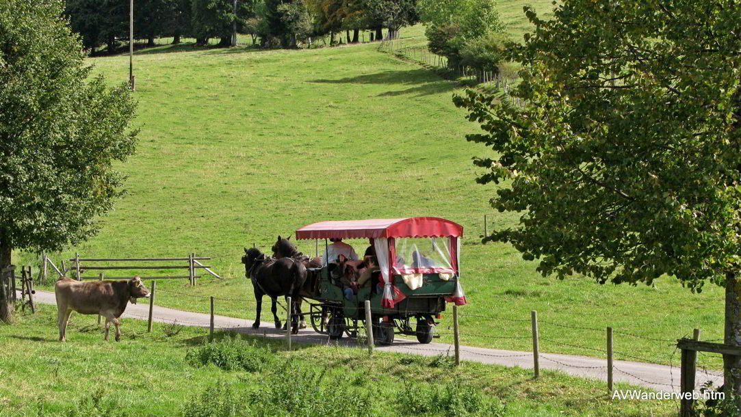 Attlessee und Kögelweiher