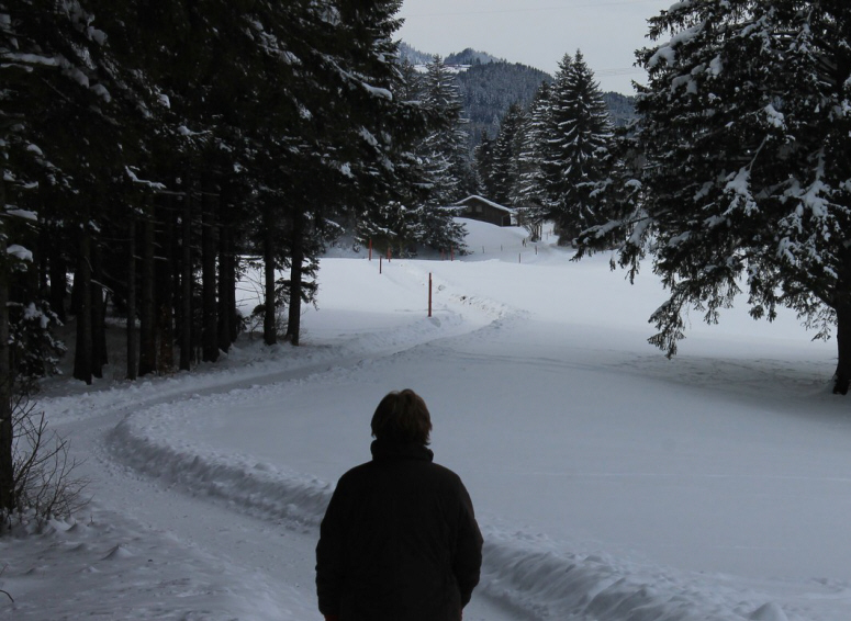 Attlessee und Kögelweiher