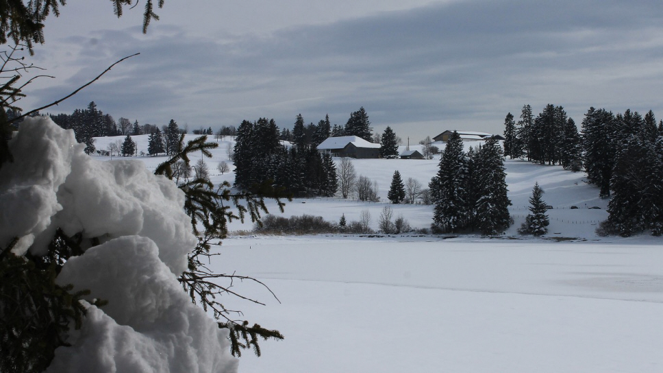 Attlessee und Kögelweiher