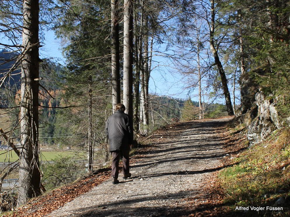 Muehlwald Rundwanderweg