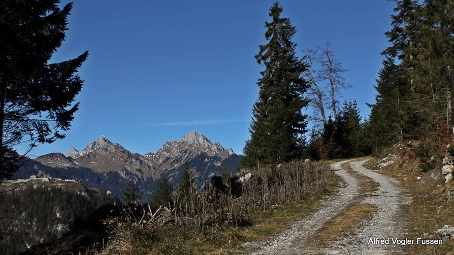 Muehlwald Rundwanderweg