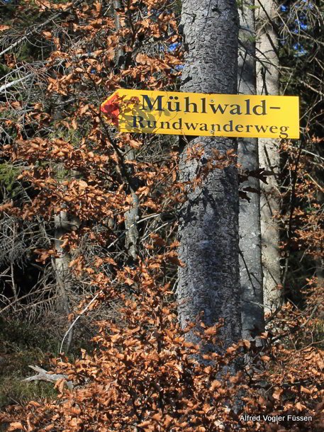 Muehlwald Rundwanderweg