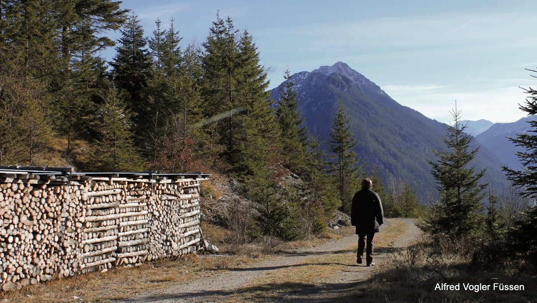 Muehlwald Rundwanderweg