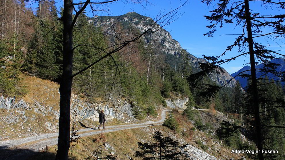 Muehlwald Rundwanderweg