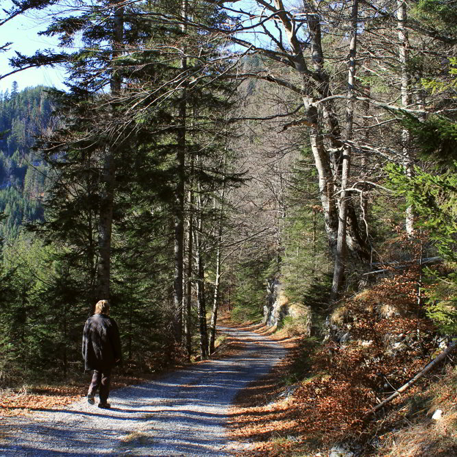 Muehlwald Rundwanderweg