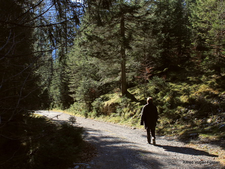 Muehlwald Rundwanderweg