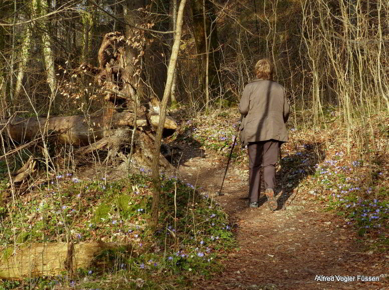 Paehler Schlucht 2013