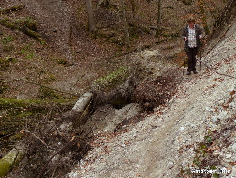 Paehler Schlucht 2013