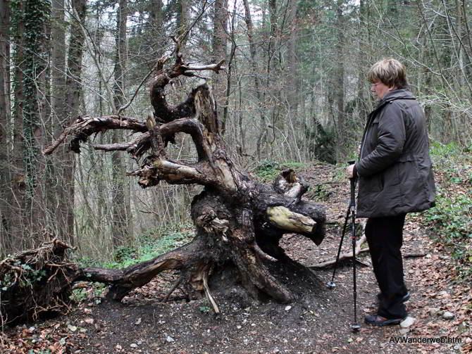 Paehler Schlucht 2012